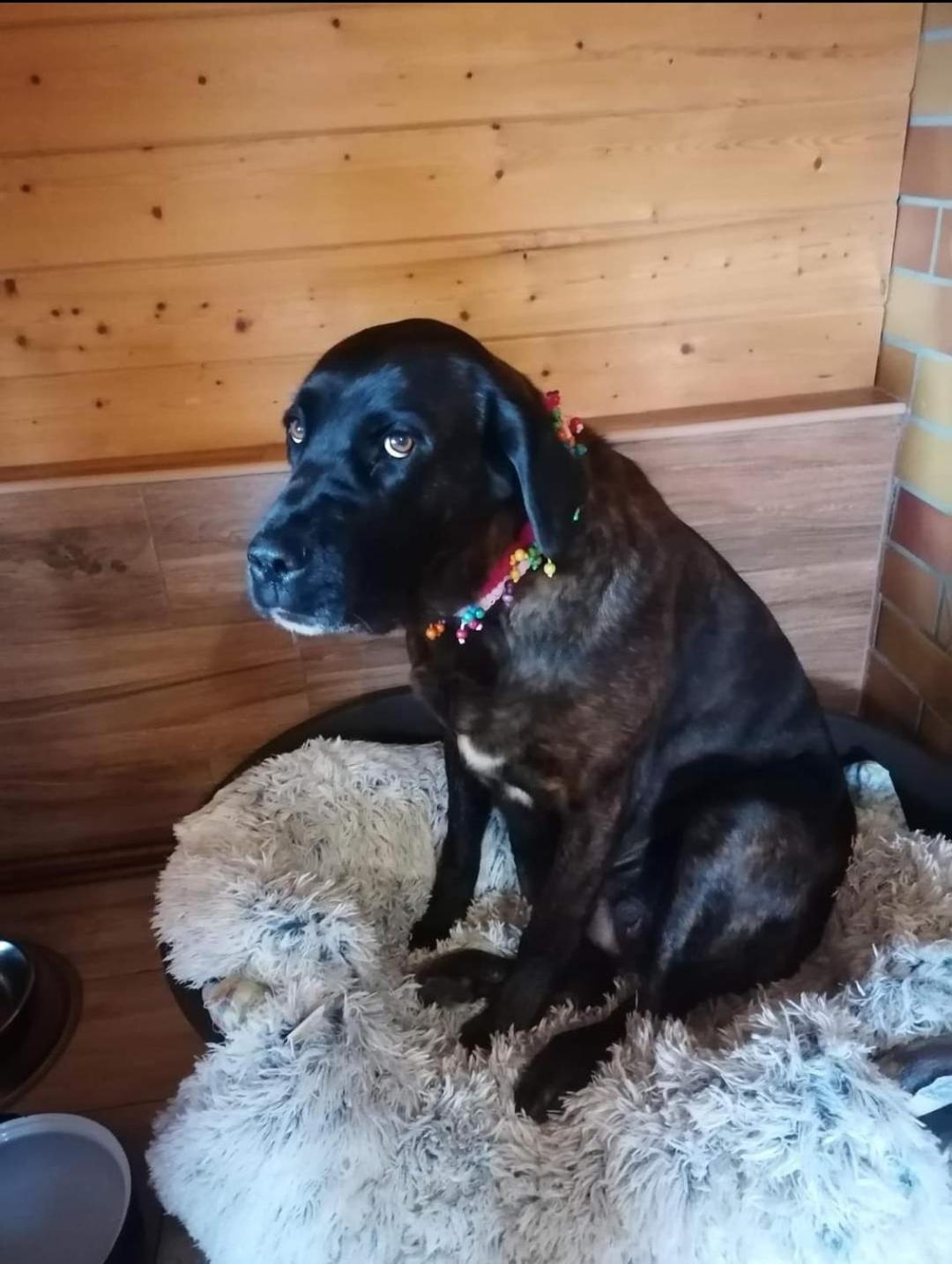 Apartman Jako U Babicky Tisá Eksteriør bilde